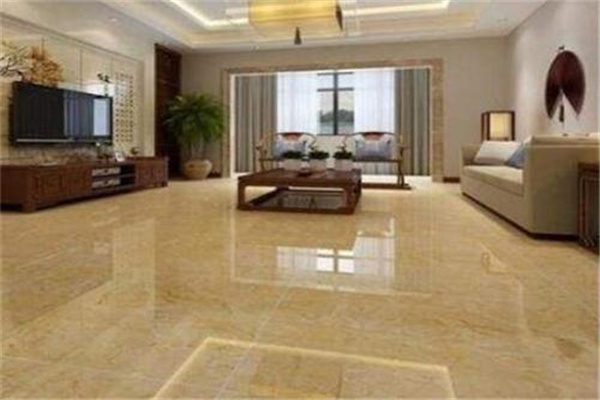 美洲狮发热瓷砖